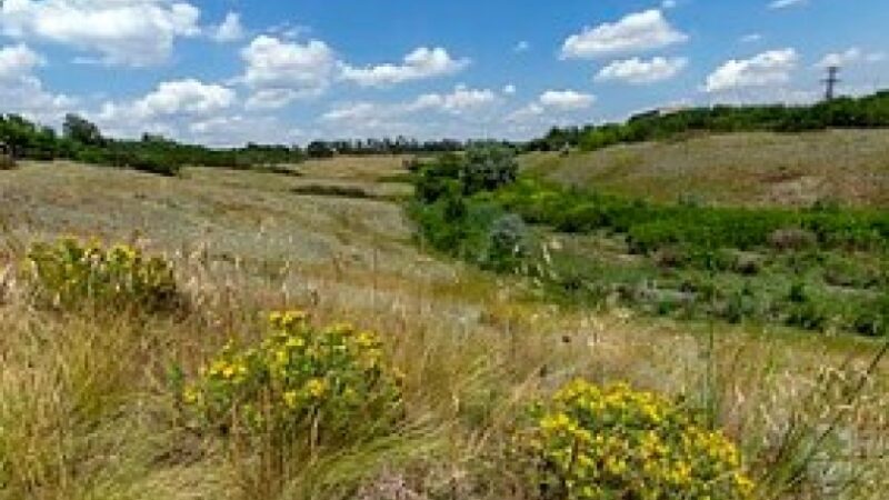 Прокуратура зобов’язала встановити межі заповідного урочища «Балка Крутенька» на Дніпропетровщині