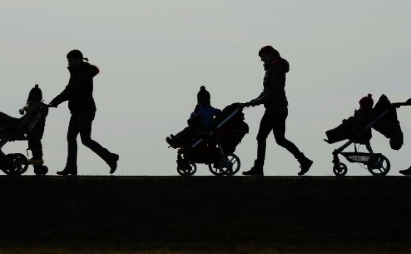 Фіктивне батьківство заради виїзду за кордон: слідчі Дніпра передали справу до суду