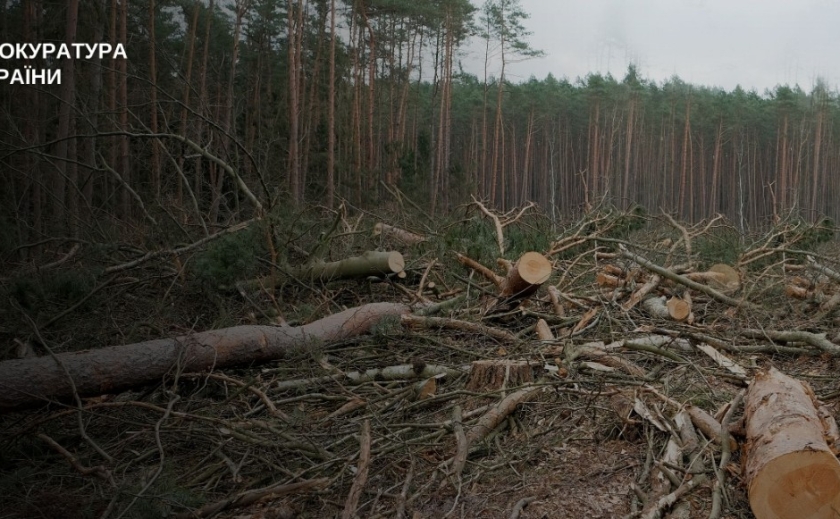 На Дніпропетровщині прокуратура через суд стягнула з лісгоспу на користь громади понад 1 млн грн