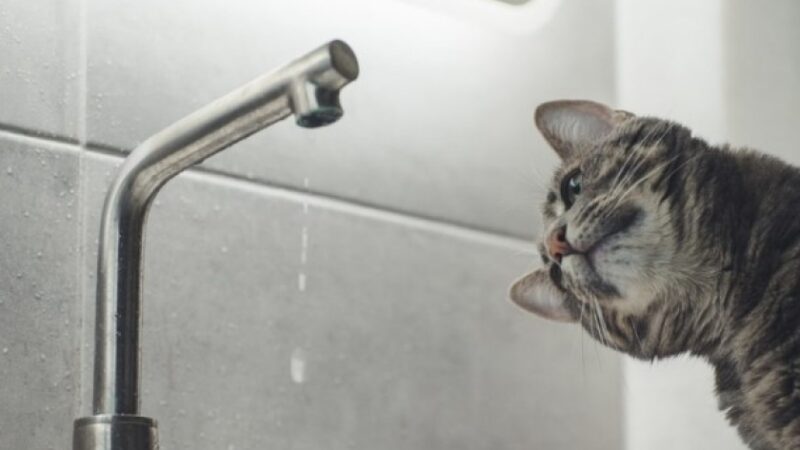 Масштабне відключення води у Дніпрі з 22 по 23 квітня: адреси