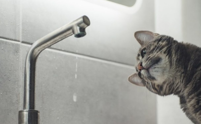 Масштабне відключення води у Дніпрі з 22 по 23 квітня: адреси