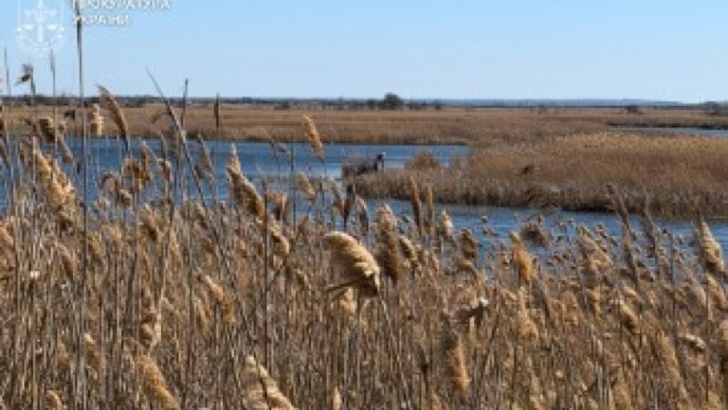 Віддали острів регіонального парку під селянське господарство: прокуратура оскаржує незаконну передачу землі у Самарських плавнях