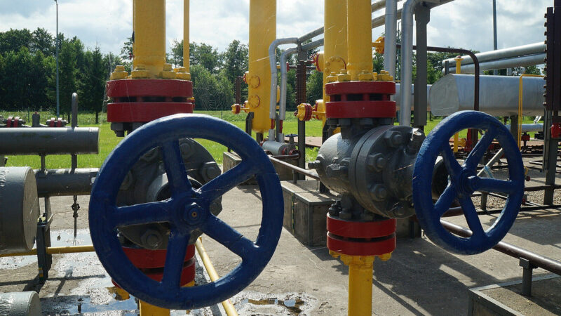 Сербія не виявила причетності України у “спробі диверсії” на газогоні