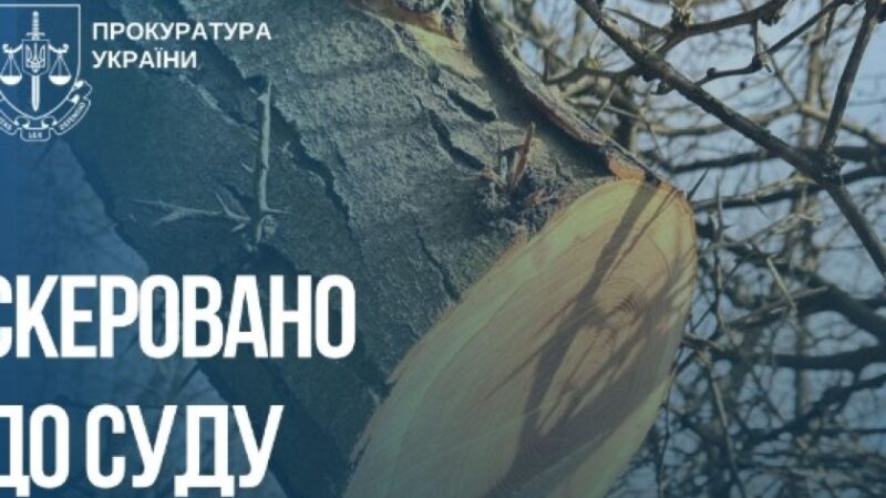 Незаконна порубка дерев зі збитками довкіллю на понад 2 млн грн: судитимуть жителів Запорізького району