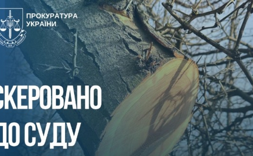 Незаконна порубка дерев зі збитками довкіллю на понад 2 млн грн: судитимуть жителів Запорізького району