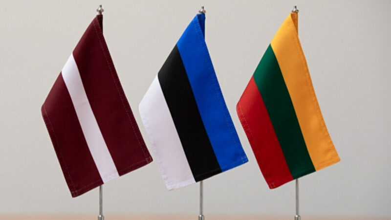 Країни Балтії відкинули звинувачення РФ у наданні Україні неба для ударів дронів