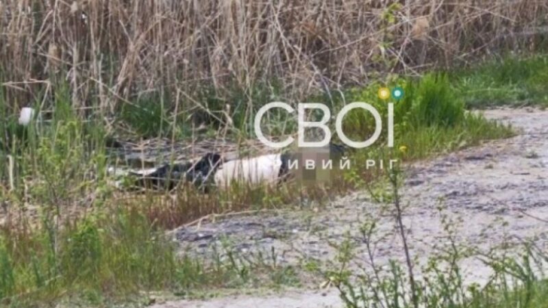 У Кривому Розі біля популярного ТРЦ із води дістали тіло потопельника