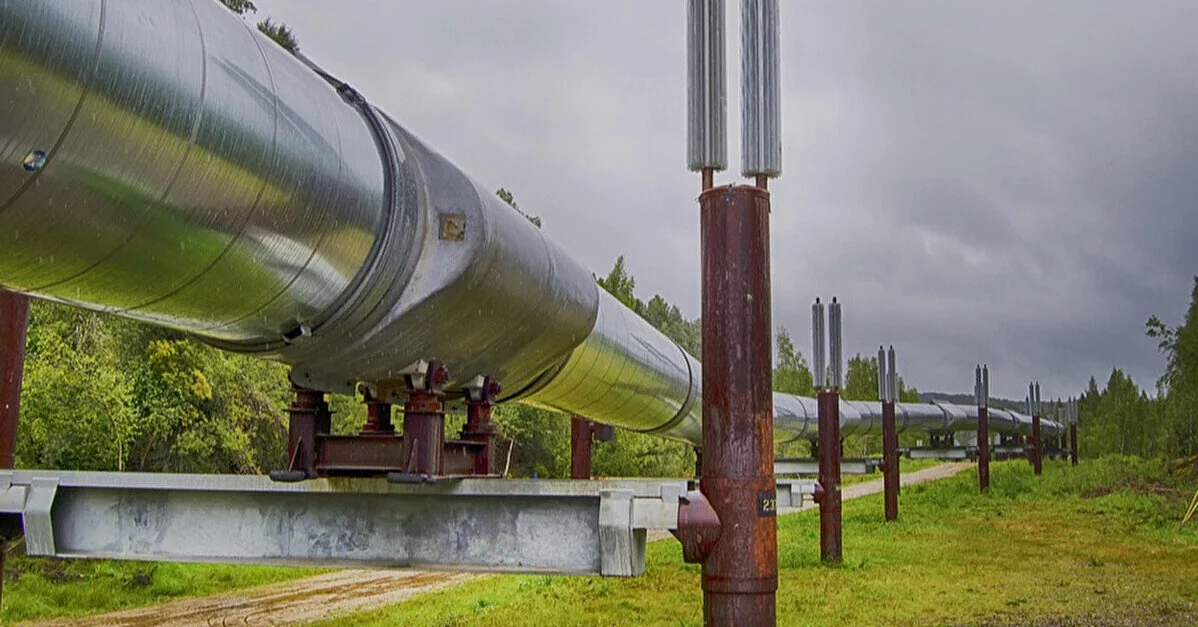 Стало відомо, коли може відновитися прокачування нафти по “Дружбі”