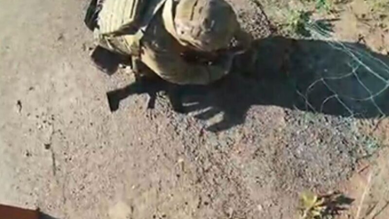 Запорізькі поліцейські врятували їжака, який застряг в антидроновій сітці