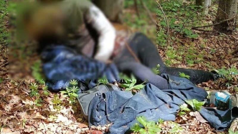 Загинув, намагаючись втекти з країни: правоохоронці виявили тіло чоловіка поблизу українсько-румунського кордону