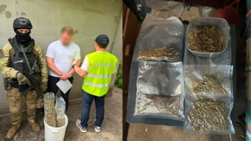 У Кривому Розі викрили канал збуту канабісу через поштову службу