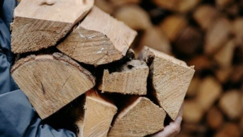 На Дніпропетровщині попереджено незаконне витрачання майже 24 млн грн бюджетних коштів під час закупівлі твердого палива