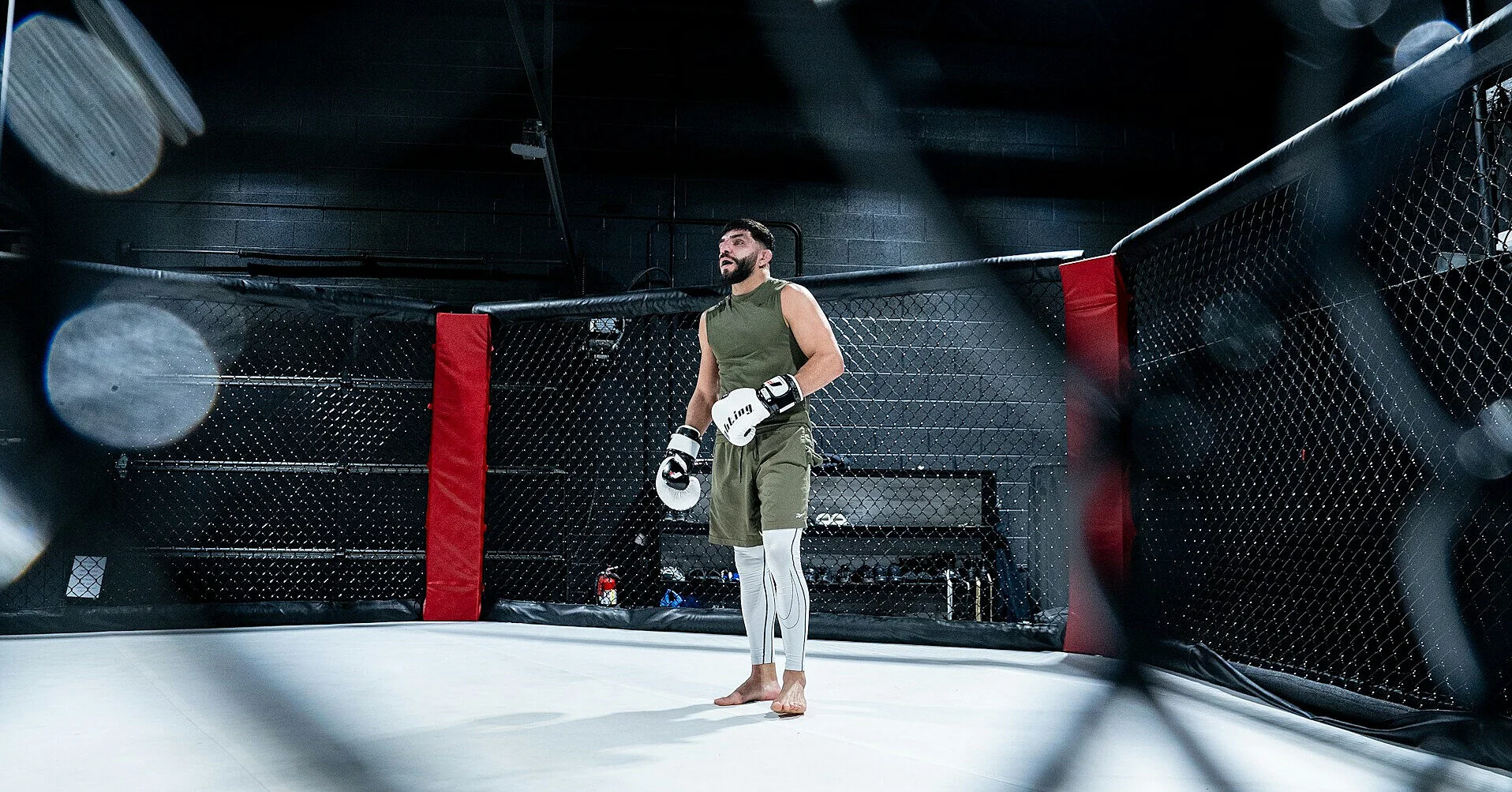 Билеты на турнир UFC у Белого дома предлагают до $1,5 млн