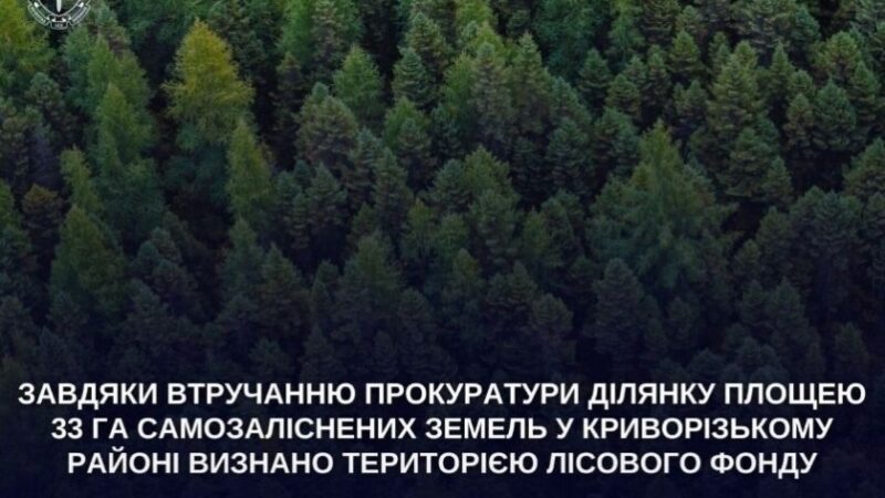Суд визнав 33 га земель на Криворіжжі територією лісового фонду