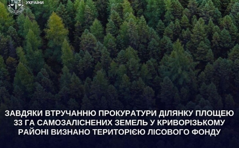 Суд визнав 33 га земель на Криворіжжі територією лісового фонду