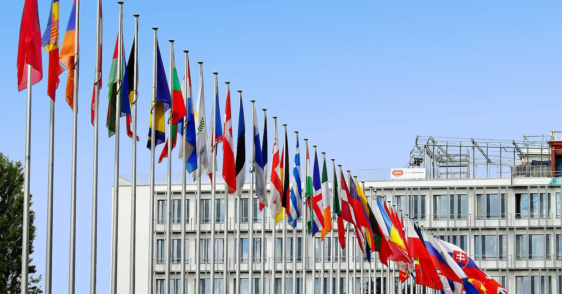 Стало відомо, які країни ЄС блокують імпорт агропродукції з України