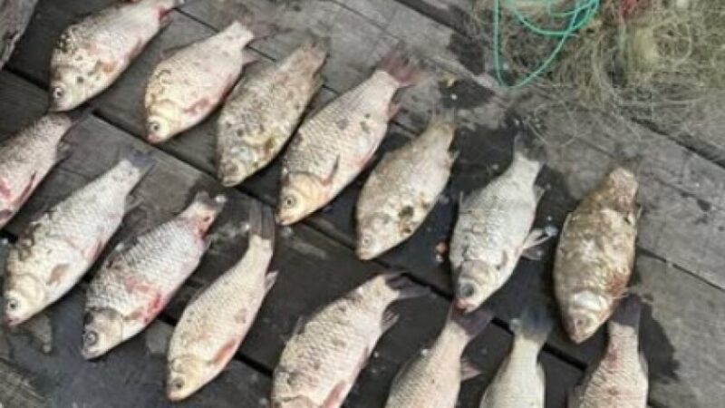 Водний патруль Дніпра виявив рибалку-браконьєра, який порушив нерестову заборону