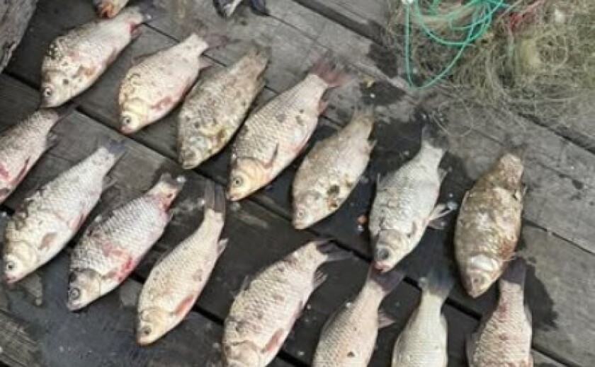 Водний патруль Дніпра виявив рибалку-браконьєра, який порушив нерестову заборону