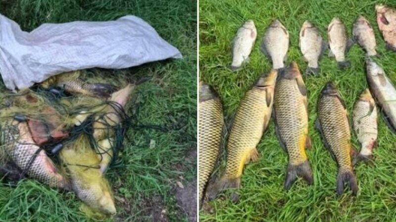 Наловили риби на 42 тис. гривень: на Дніпровському водосховищі виявили порушників нерестової заборони