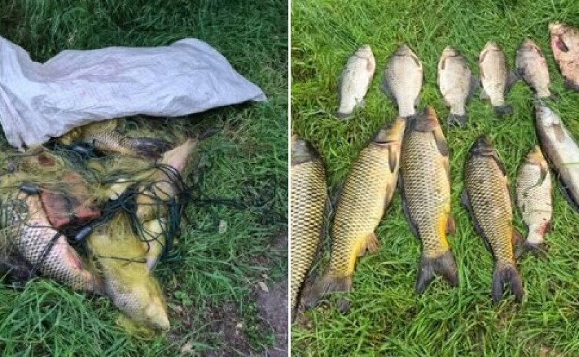 Наловили риби на 42 тис. гривень: на Дніпровському водосховищі виявили порушників нерестової заборони