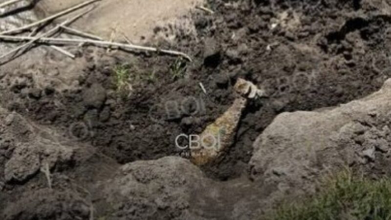 У Кривому Розі рибалки знайшли біля річки вибухонебезпечний предмет