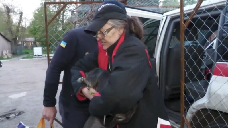 Запоріжжя: надзвичайники евакуювали сім’ю із зони обстрілів
