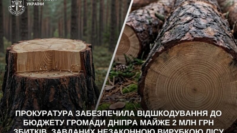 Після позову прокуратури до бюджету Дніпра повернули майже 2 млн грн за незаконну вирубку лісу