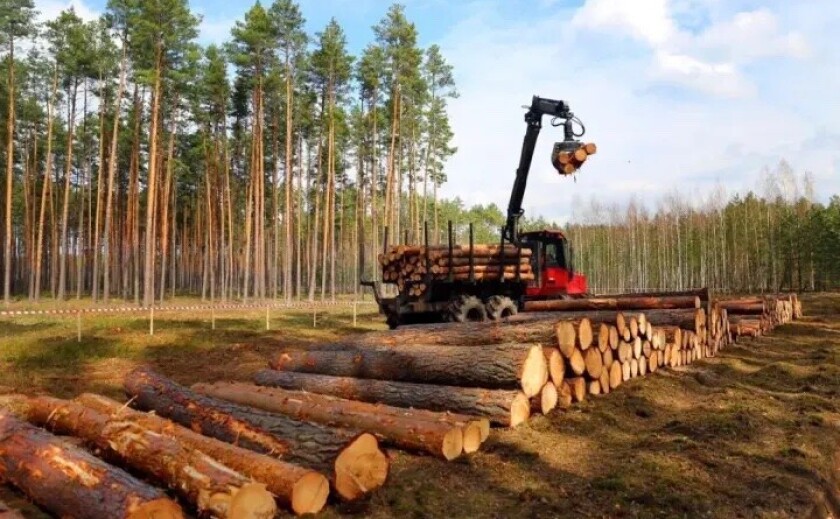 ДП «Ліси України» заплатило майже 800 тисяч гривень за незаконну вирубку дерев на Дніпропетровщині