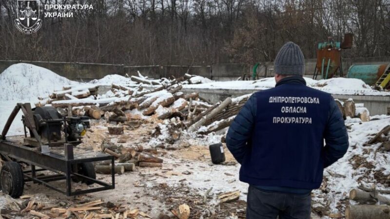 На Дніпропетровщині судитимуть трьох чоловіків за незаконну вирубку лісу на майже 2 млн грн