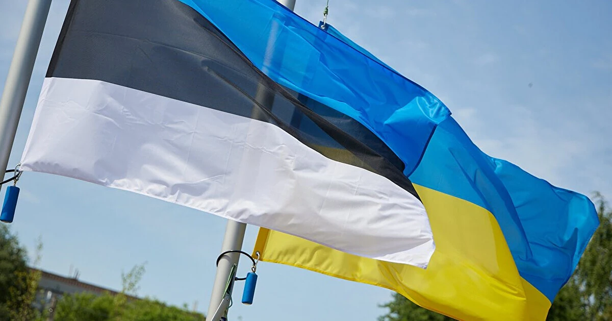 Естонія збільшить внесок до Фонду підтримки енергетики України