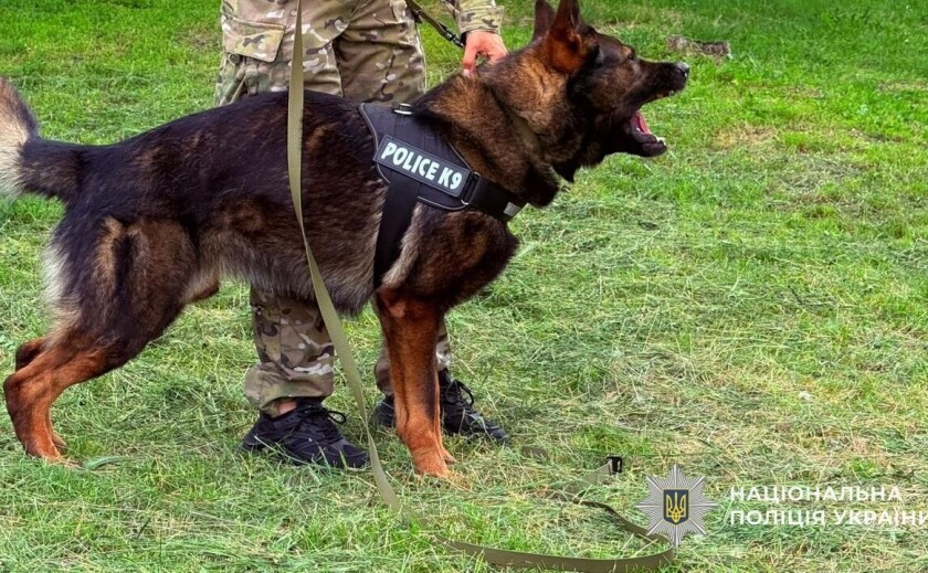 У Самарі молоді поліцейські тренувалися разом із кінологами та службовим собакою