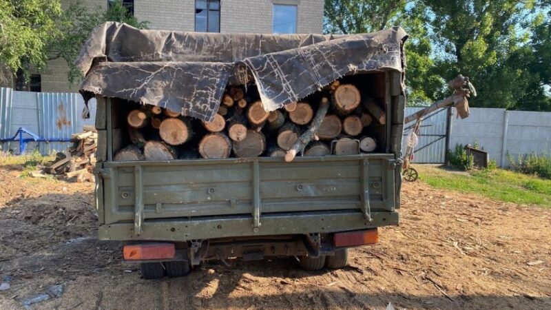 На Дніпропетровщині викрили «чорних лісорубів»: збитки оцінили майже у 700 тисяч гривень
