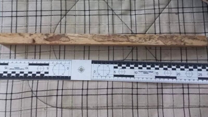 У Дніпрі чоловіка засудили до 8,5 року в’язниці за смертельне побиття цивільної дружини