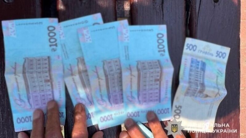 У Нікопольському районі затримали рецидивіста за серію крадіжок: деталі
