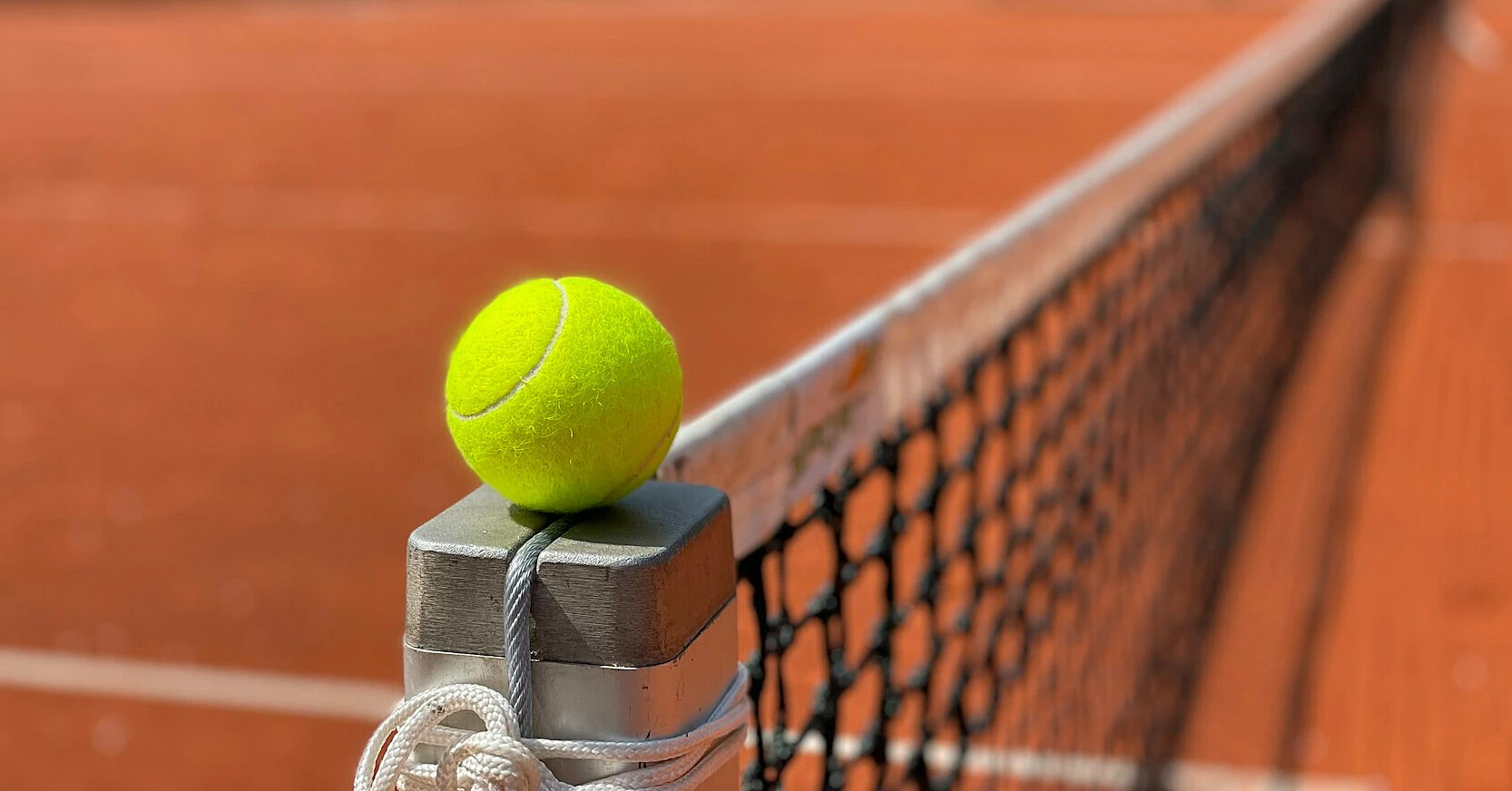 WTA зобов’язала тенісисток пройти генетичний тест для участі в жіночих турнірах