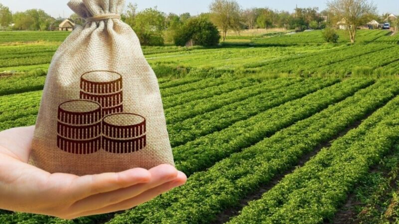До бюджету Запоріжжя повернули понад 1,6 млн грн за користування землею без договору оренди