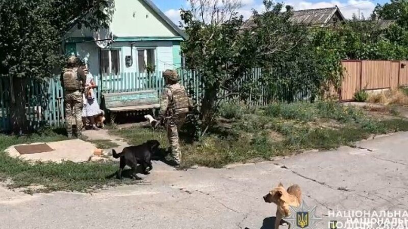 Життя за 15 кілометрів до лінії фронту: поліцейські «Білі янголи» закликають жителів Синельниківського району евакуюватися