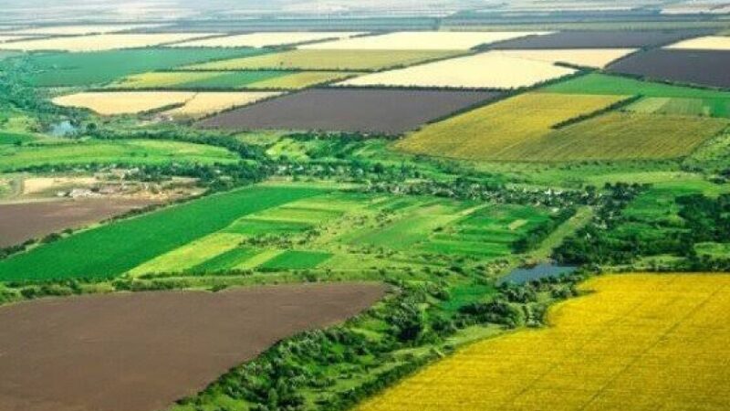 На Дніпропетровщині засудили посадовців міськради, які вимагали хабар за виділення землі