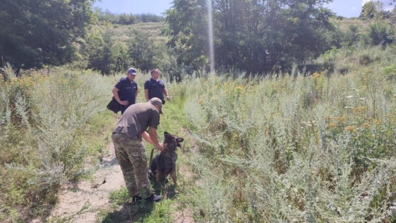 На Дніпропетровщині службові собаки відпрацювали пошук людей під завалами
