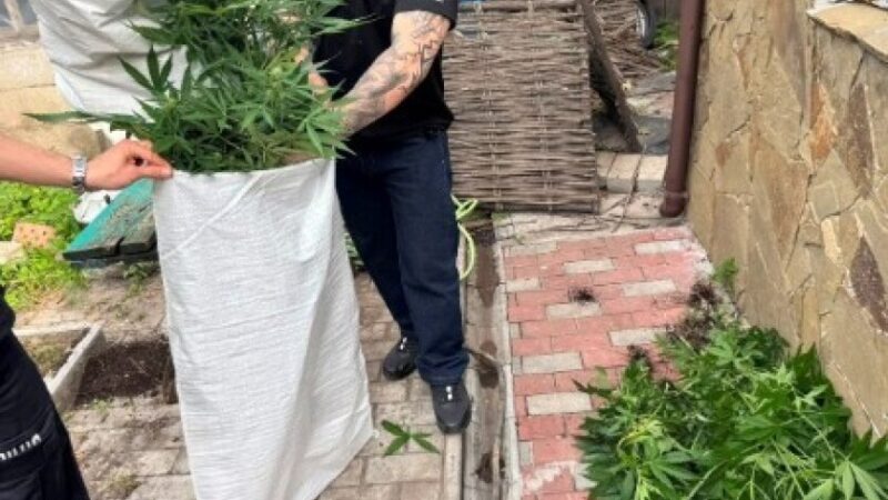 У Дніпрі поліцейські викрили два організовані наркоугрупування та повідомили про підозру 15 фігурантам