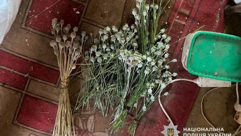 На Криворіжжі у 69-річного чоловіка виявили плантацію конопель і понад сотню рослин маку