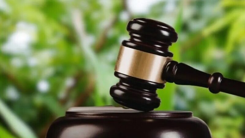 Прокуратура через суд стягнула з підприємства у Дніпрі майже 1 млн грн за землю