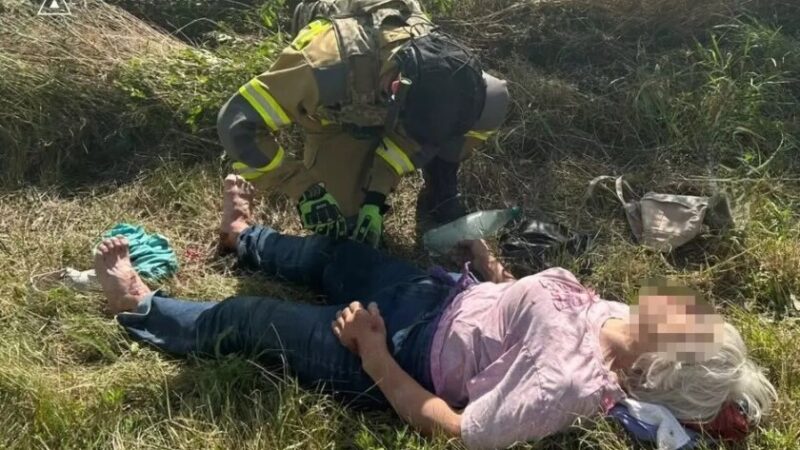 У Запорізькому районі водійка не впоралася з керуванням та врізалася у дерево
