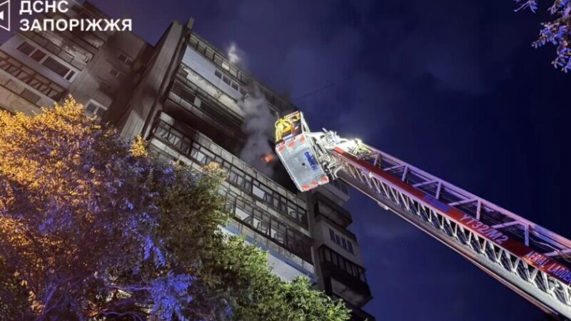 Запоріжжя: під час пожежі врятували літнього чоловіка та домашнього собаку