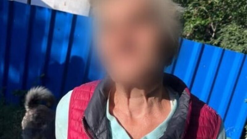 Попросила допомоги, бо загубилась: у Дніпрі патрульні повернули додому розгублену жінку