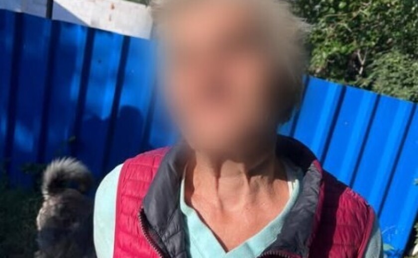 Попросила допомоги, бо загубилась: у Дніпрі патрульні повернули додому розгублену жінку
