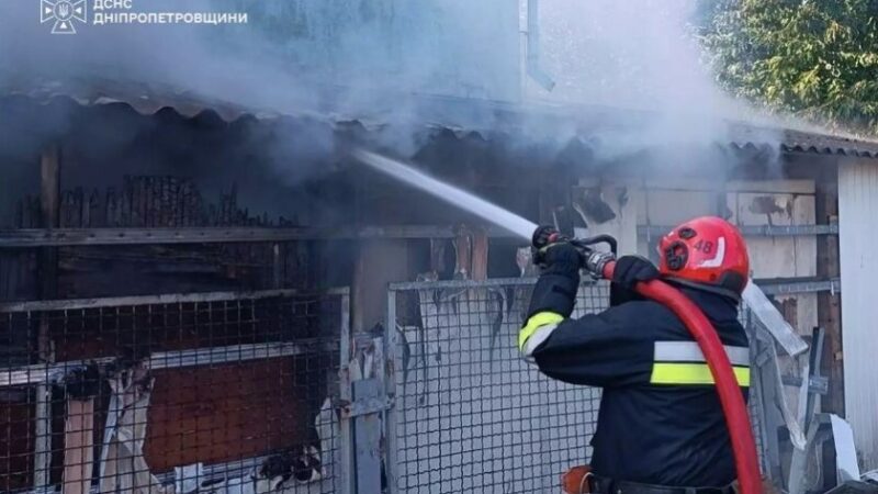 м. Синельникове: вогнеборці ліквідували пожежу на території приватного домоволодіння