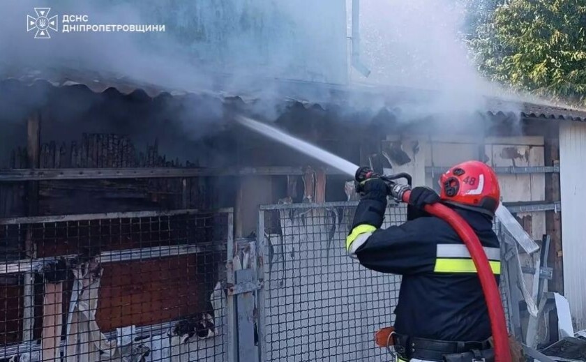 м. Синельникове: вогнеборці ліквідували пожежу на території приватного домоволодіння