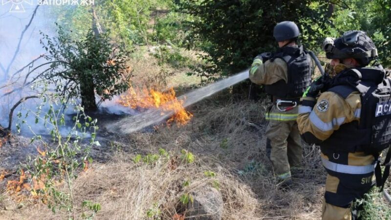 Запоріжжя: надзвичайники ліквідували пожежі в екосистемах, спричинені ворожими обстрілами