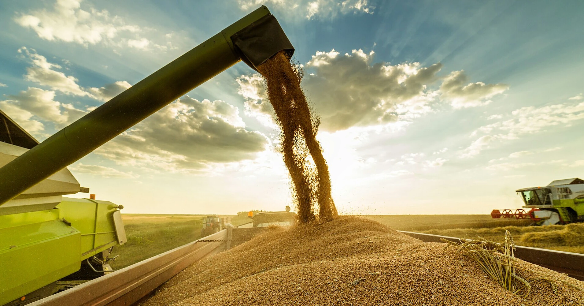 Україна збільшила торгівлю агропродукцією з ЄС до $8,55 млрд